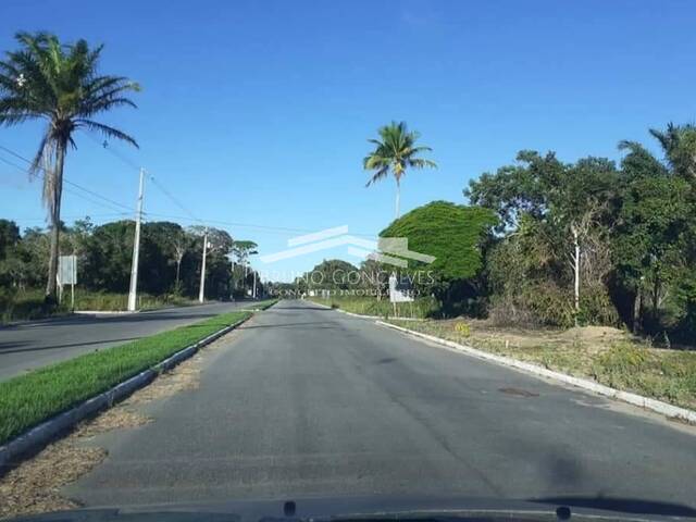 #97 - Área para Venda em Porto Seguro - BA - 3