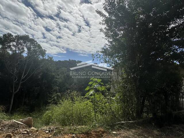 Área para Venda em Porto Seguro - 4
