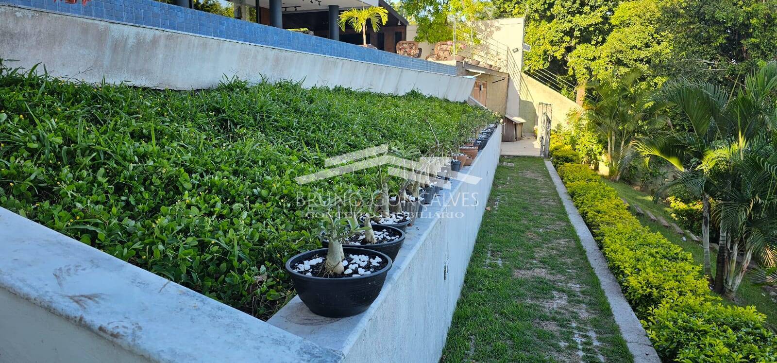 Casa à venda com 4 quartos, 450m² - Foto 36
