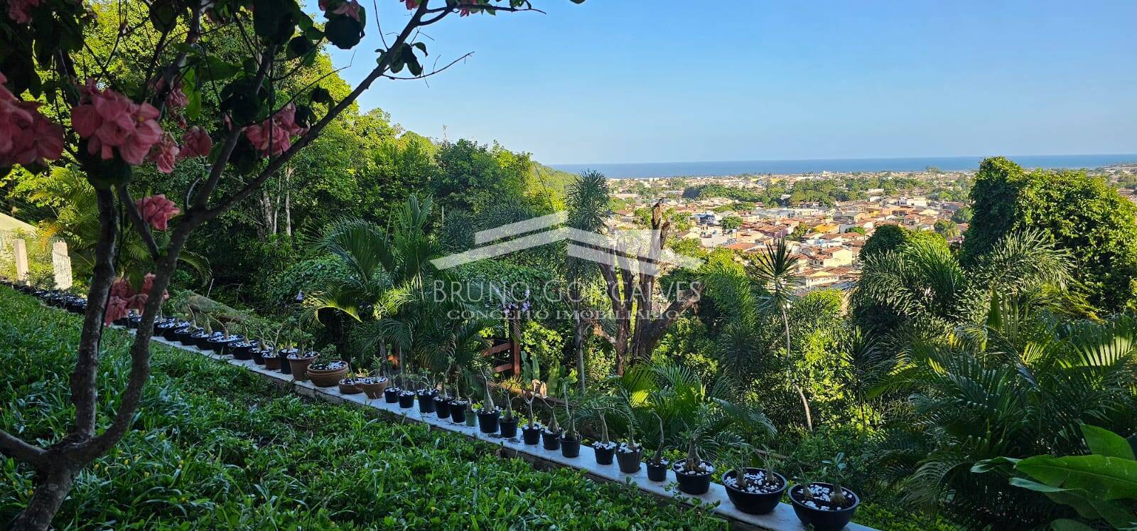 Casa à venda com 4 quartos, 450m² - Foto 35