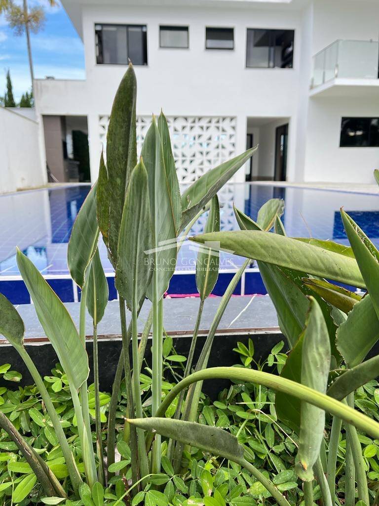 Casa à venda com 4 quartos, 800m² - Foto 14