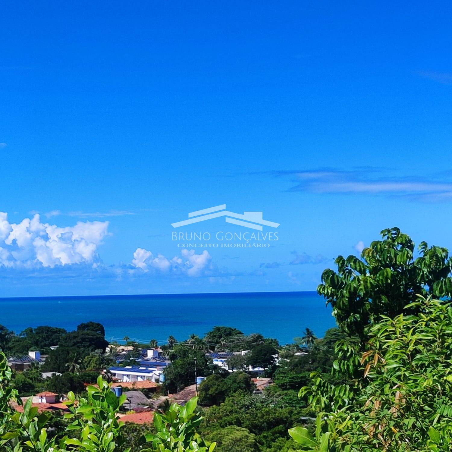 Terreno, 55 hectares - Foto 1